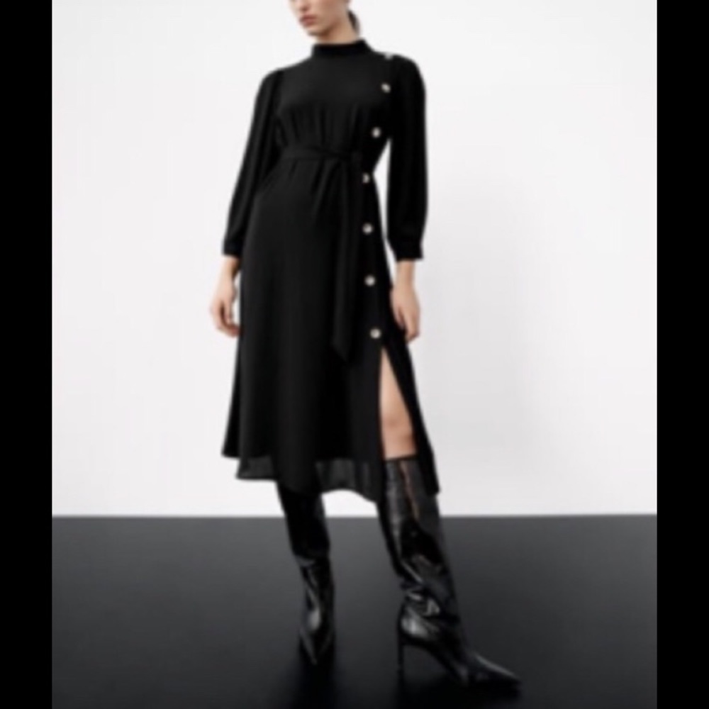 Zara Combination Pleated Dress NWT